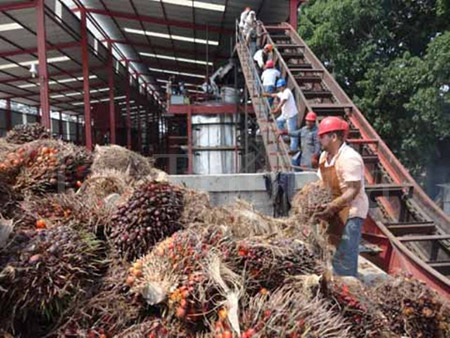 Trabajador